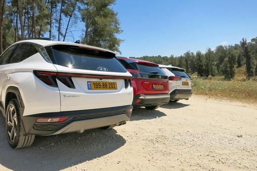 מבחן ג'יפונים